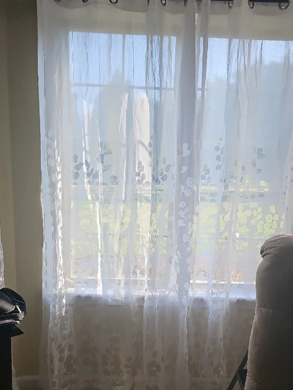 Sheer White Leaf Grommet Window Curtain Panel Wilshire Burnout 54wx84L- Set Of 8
